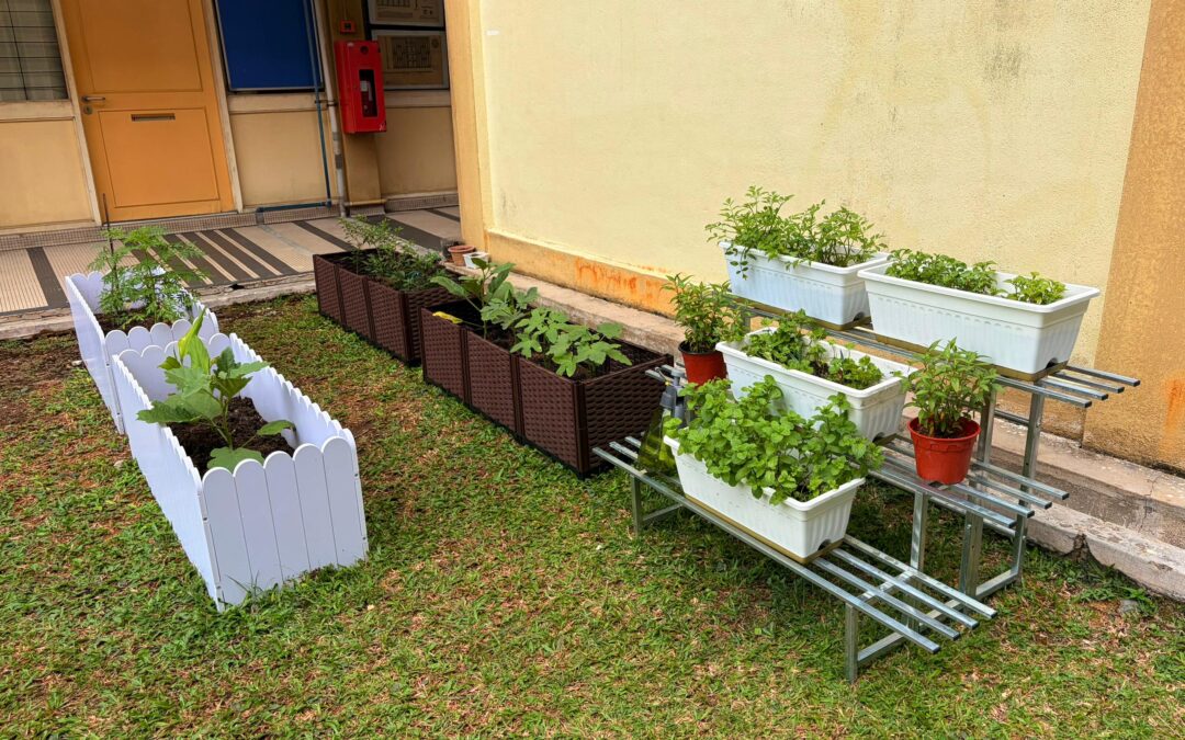 Kebun Kampus SPACE: Langkah Ke Arah Persekitaran Lestari