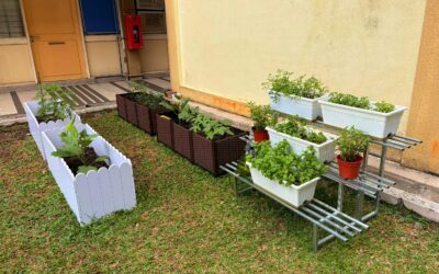 Kebun Kampus SPACE: Langkah Ke Arah Persekitaran Lestari